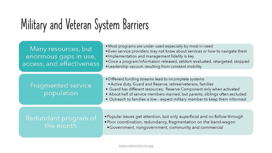 A graphic of the barriers to service and veteran system