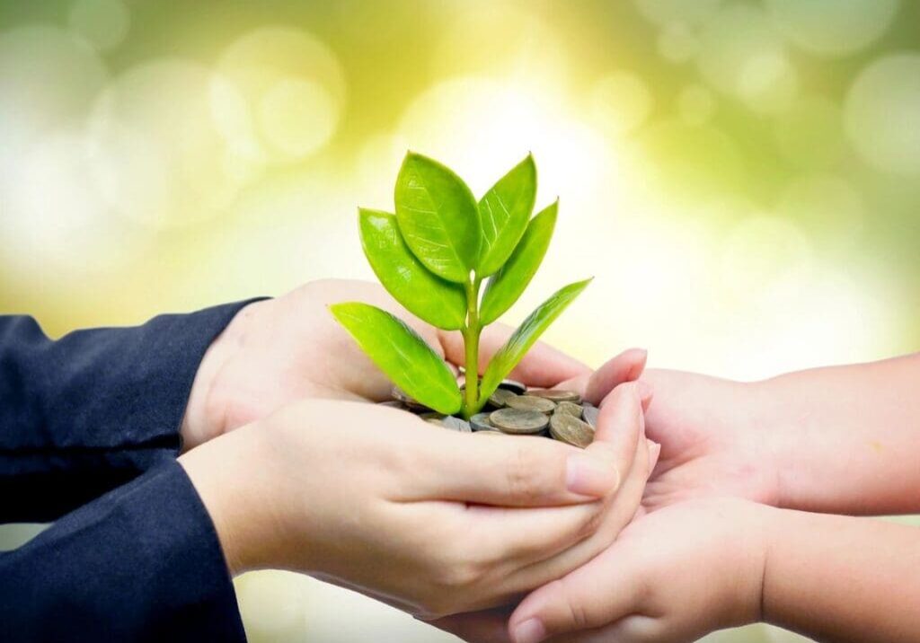 Hands holding a small plant together.